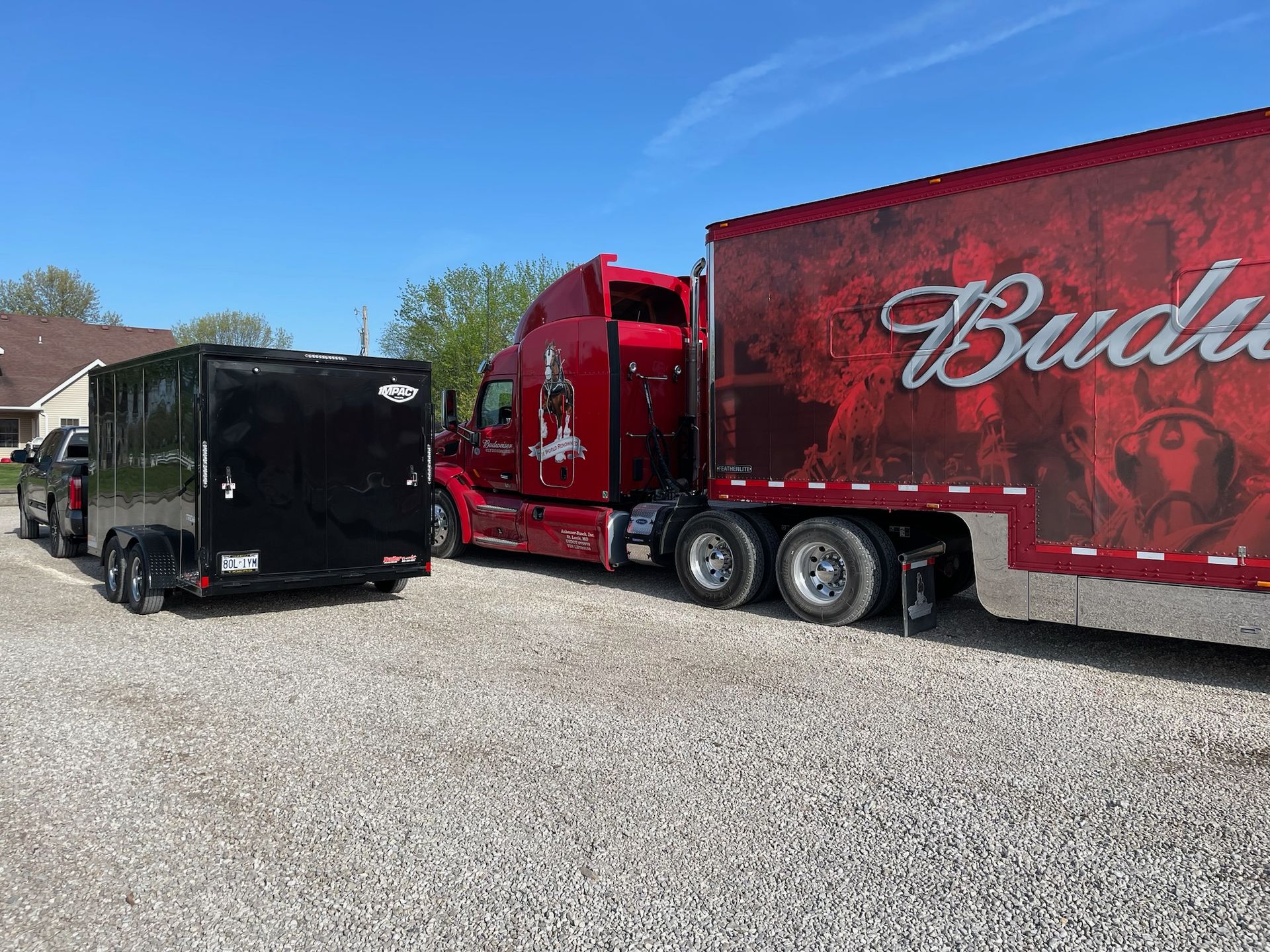 Two red Budweiser semi-trucks parked side by side on a sunny street under a blue sky