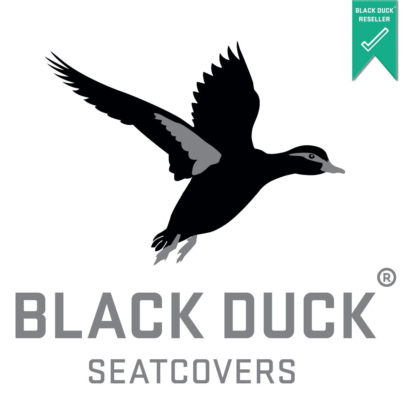 Black Duck