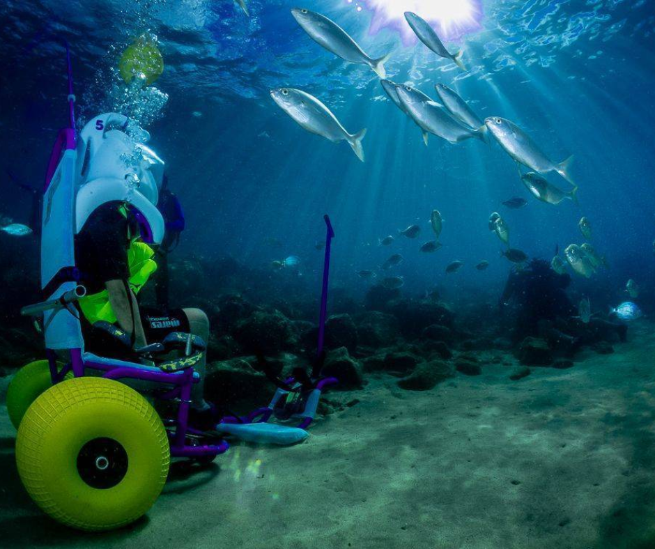 A person in a wheelchair is scuba diving in the ocean