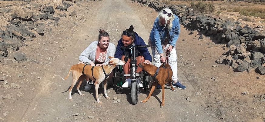 Three people and two dogs are standing next to a scooter on a dirt road.
