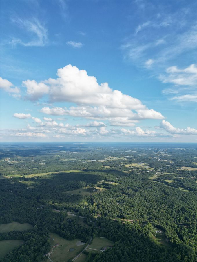 Aerial view of lush green forest under a bright blue sky with scattered white clouds.