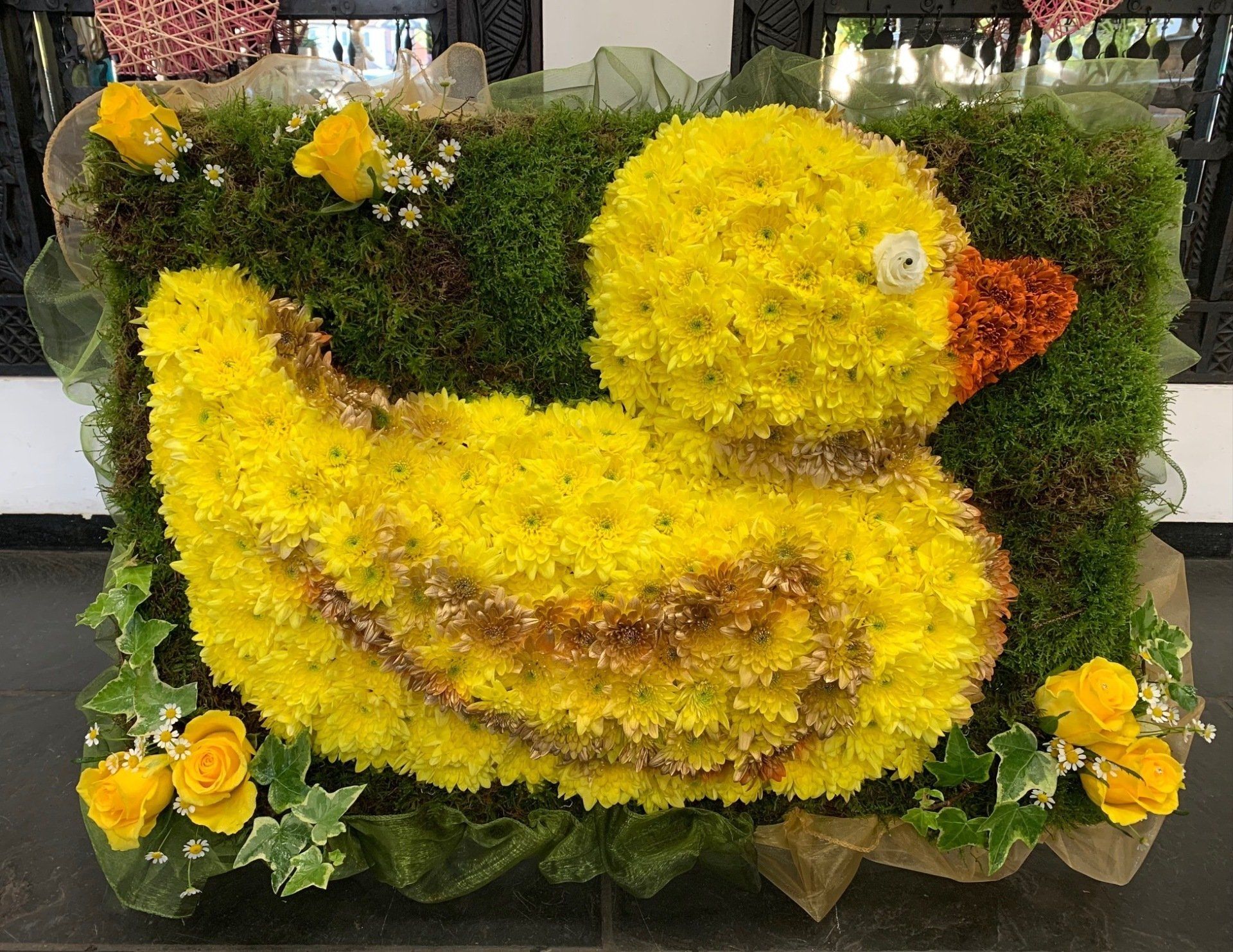 Duck
