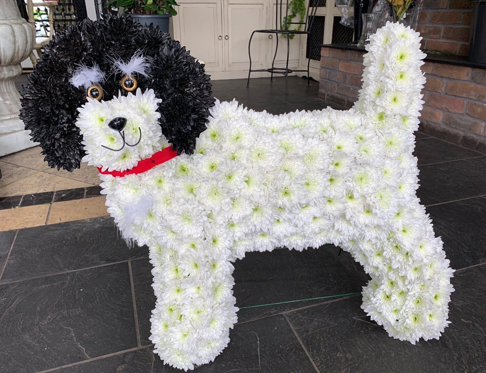 Dog Standing