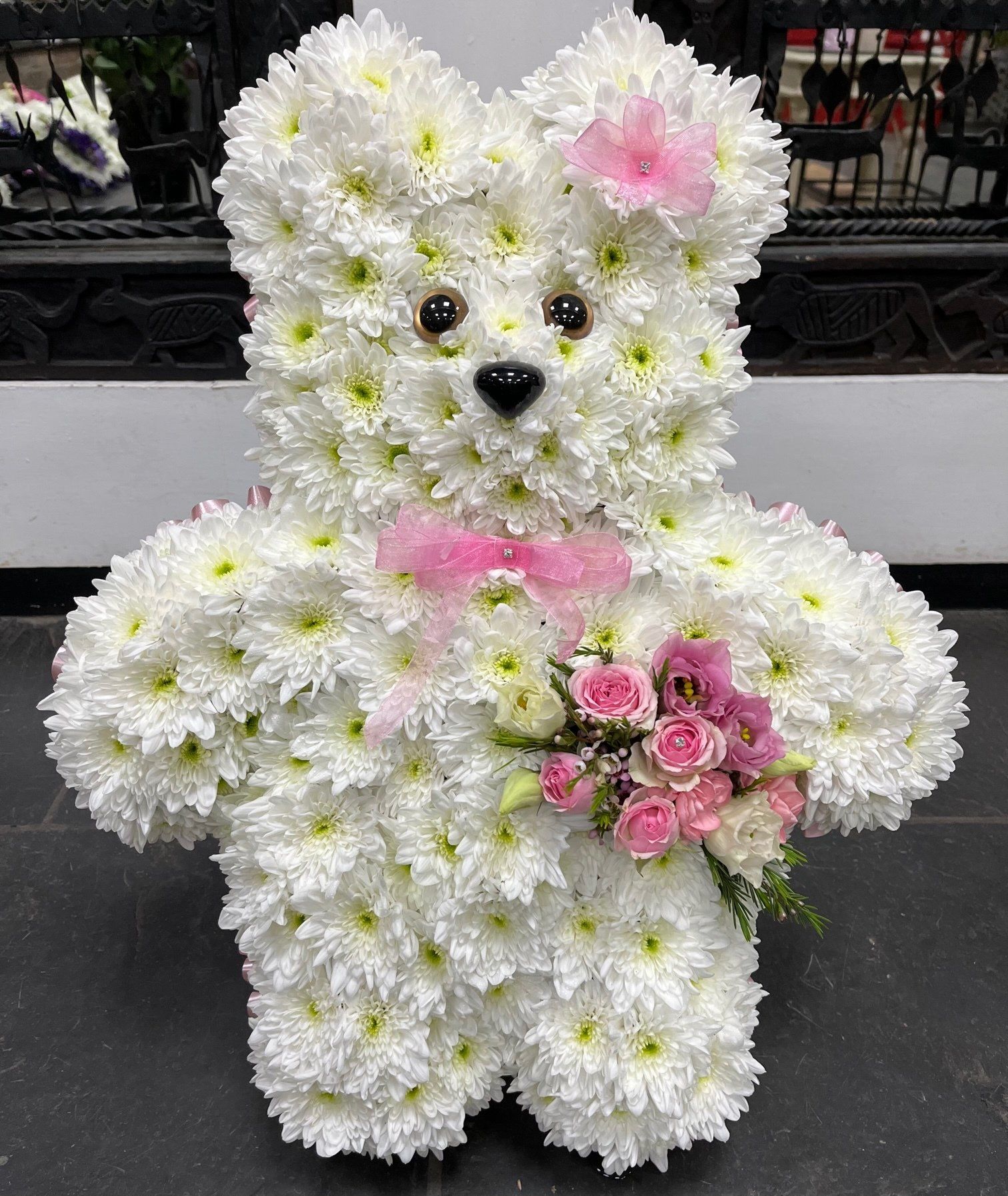 Teddy Standing