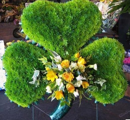 Shamrock