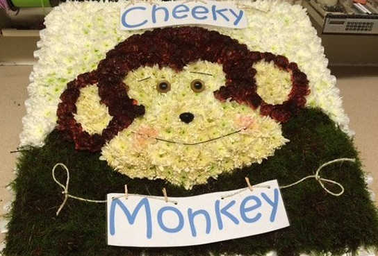 Monkey