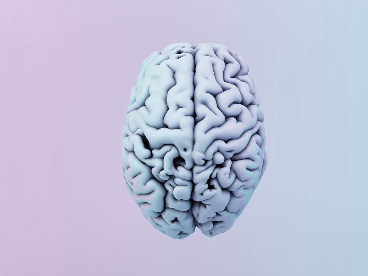 O que é ataque epilético e a crise convulsiva - Neurologista em São Paulo O que é ataque epilético e a crise convulsiva - Neurologista em São Paulo