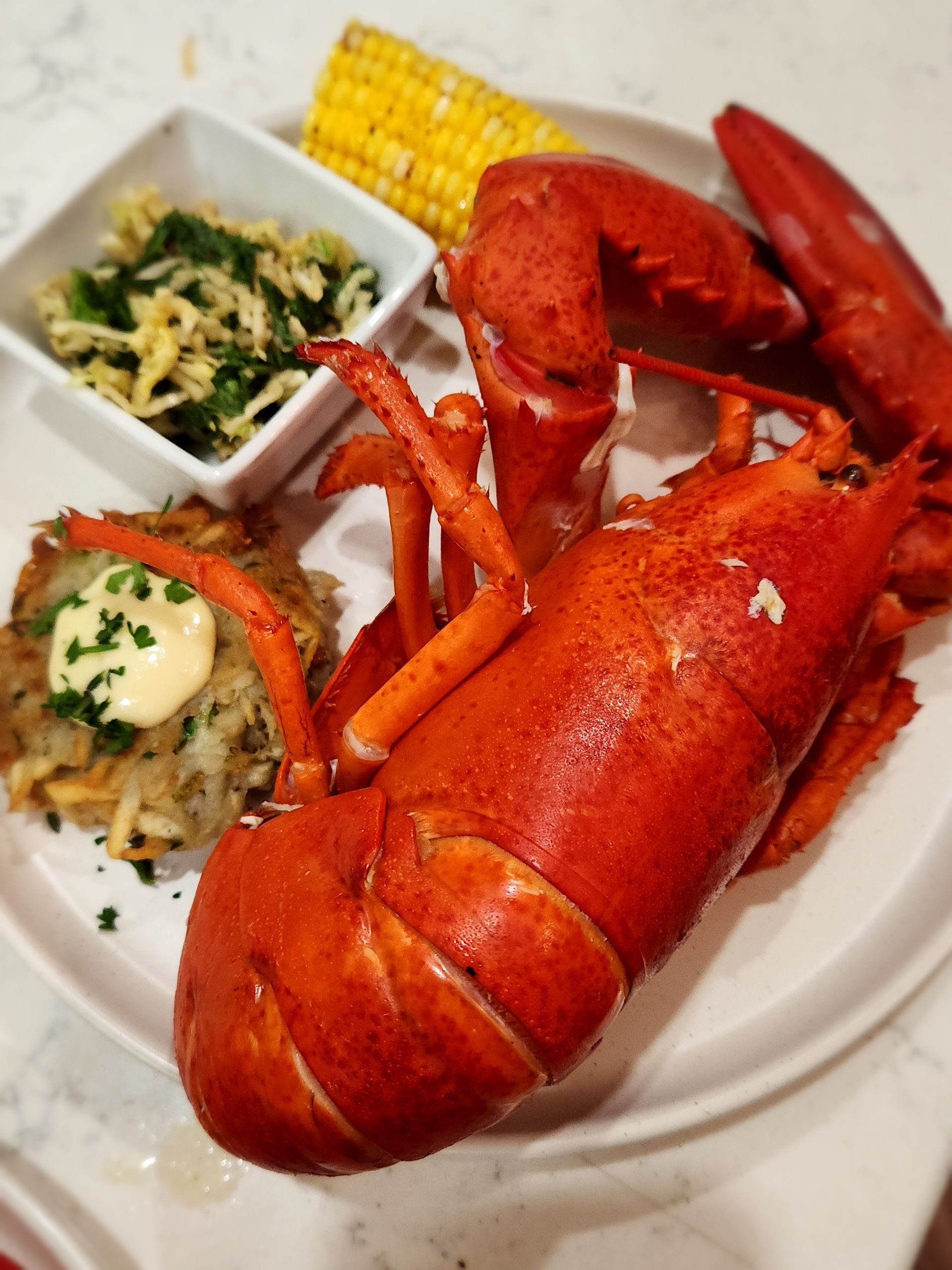 A large lobster is on a white plate with corn on the cob