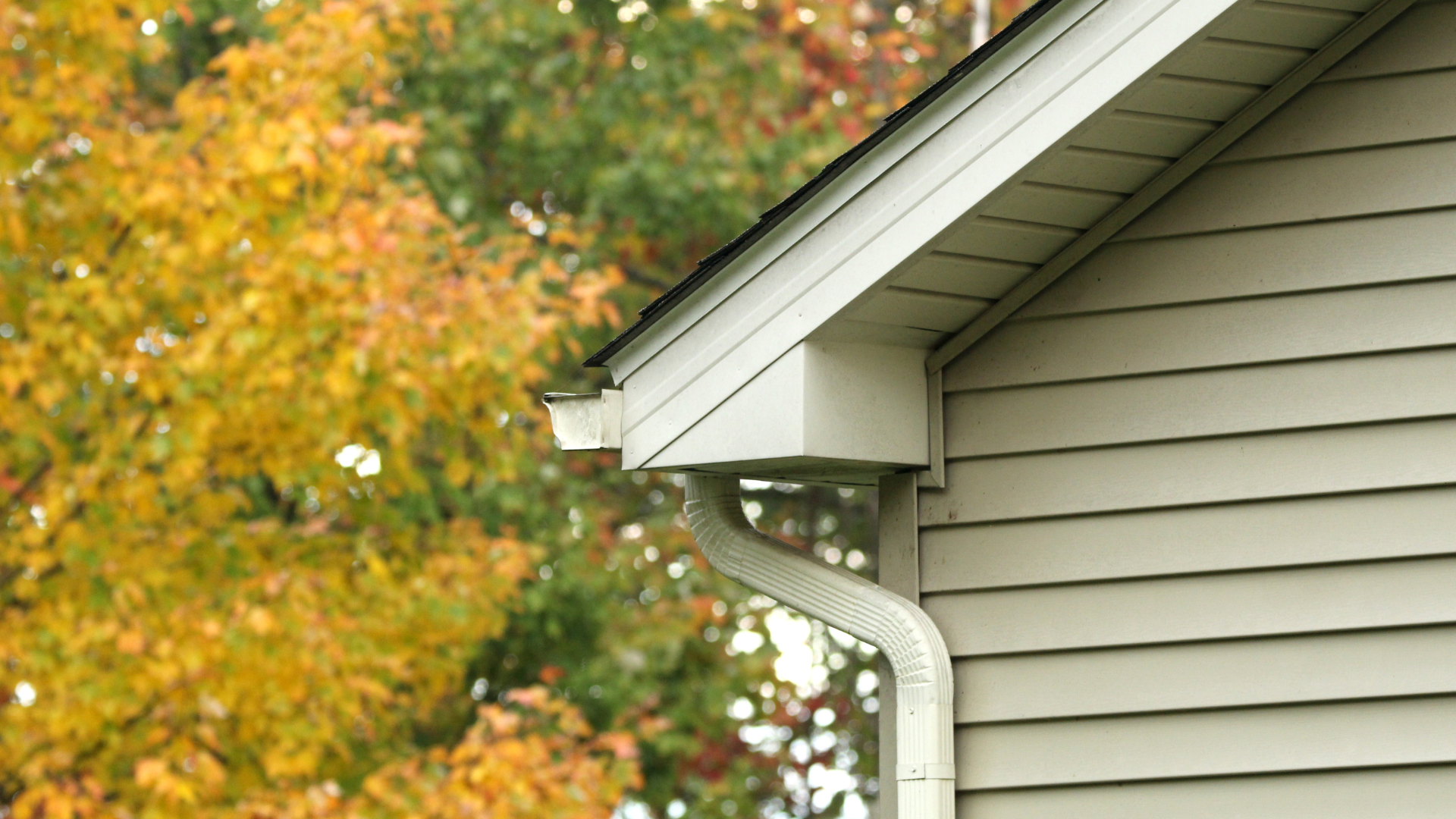 House eave with white gutter beside gray siding, framed by autumn trees in the background