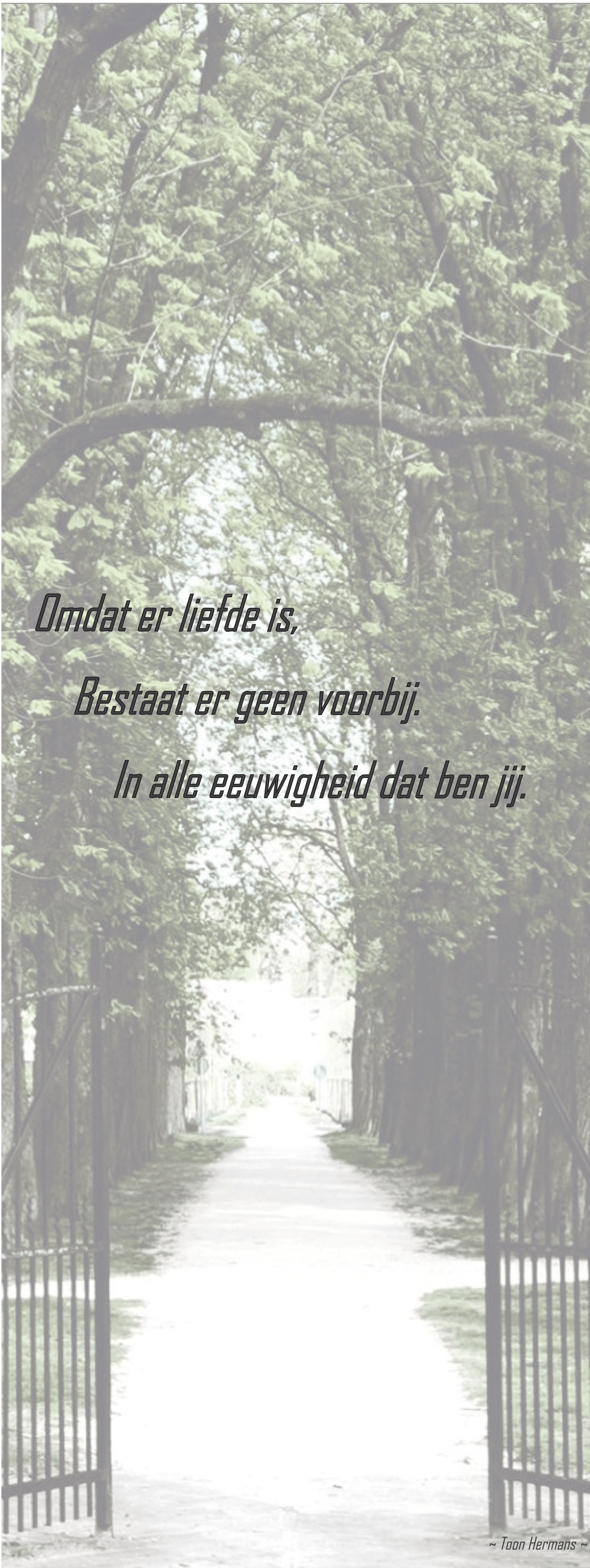 Tijdelijk grafdoek. Een zwart-witfoto van een pad met bomen en een hek.