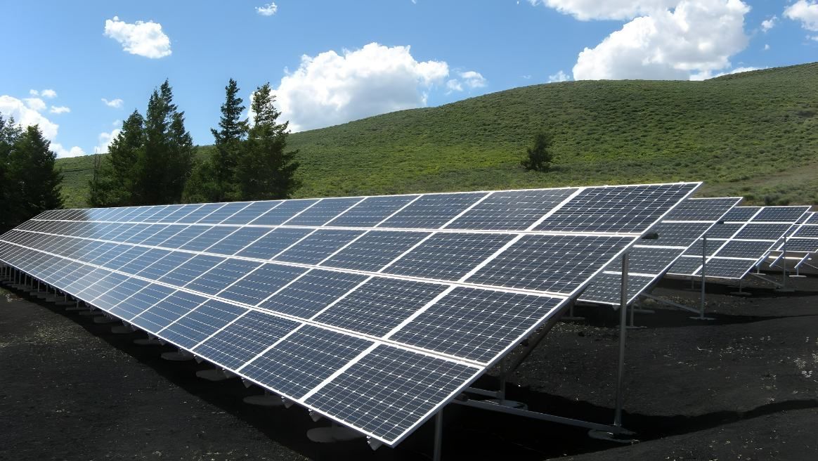 A Row of Solar Panels in a Field With Trees in the Background — DLG Electrical and Solar In Hunter Valley, NSW