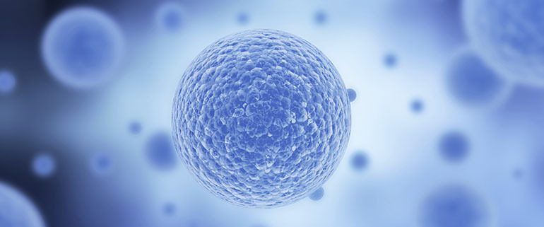 A close up of a blue cell on a blue background surrounded by other cells.