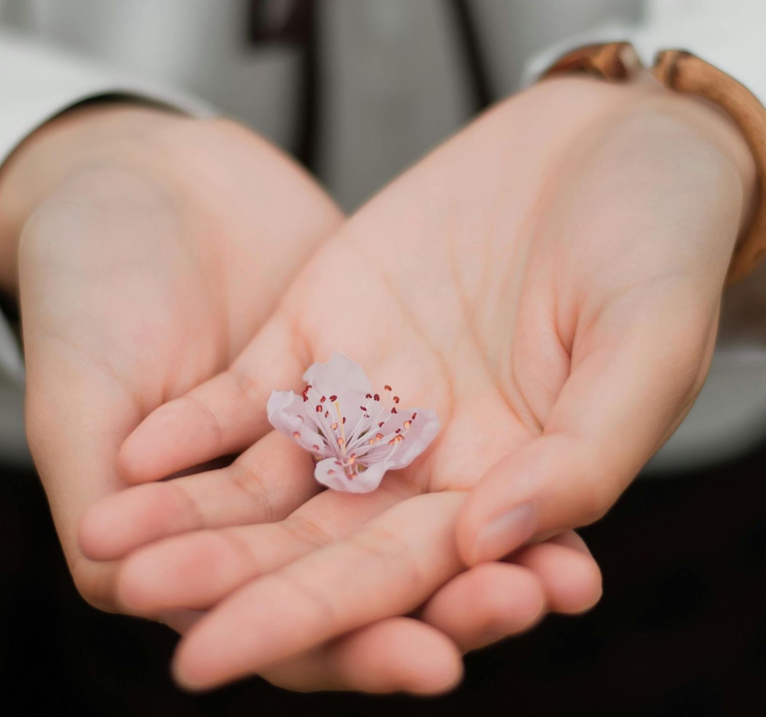A person is holding a small flower in their hands