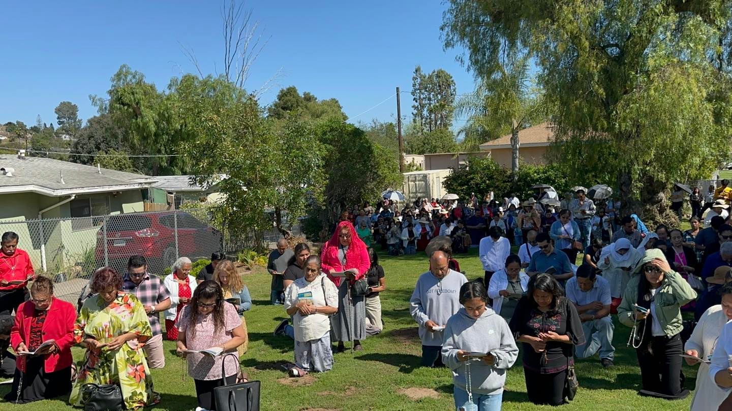 Crowd gathered outdoors in a sunny park, many standing and holding papers near trees and a fence.