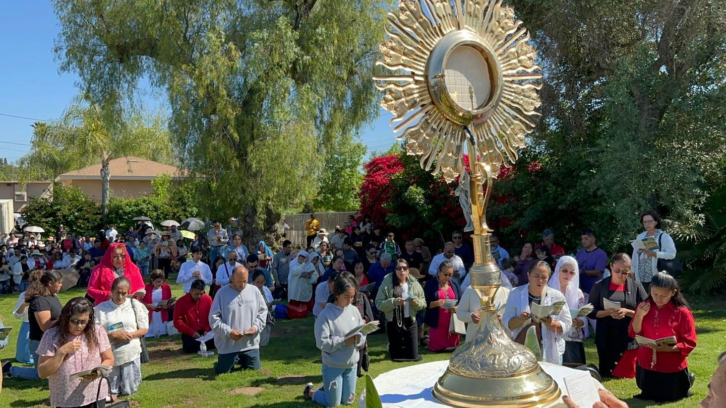 Outdoor religious ceremony with a gold monstrance, people gathered on a lawn under trees.