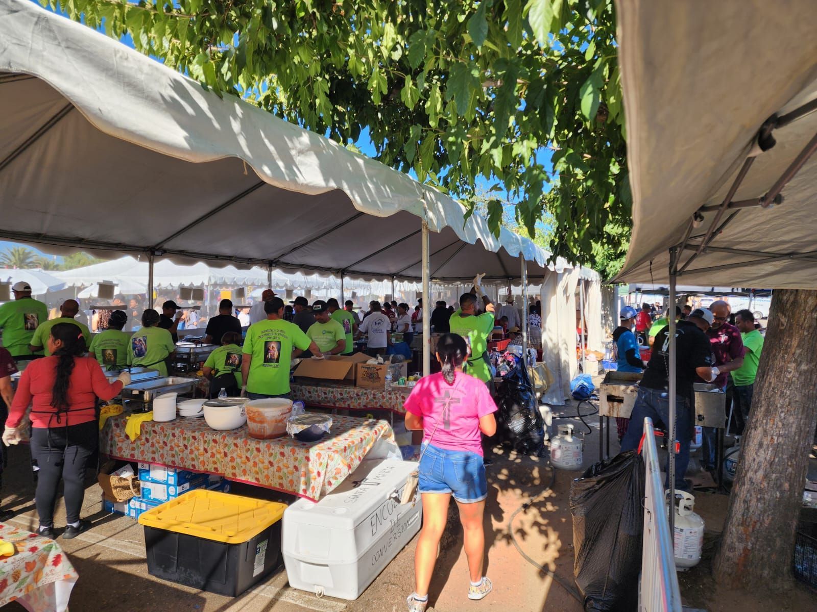 Outdoor market with people under white tents, tables of goods, and a child in a pink shirt walking by trees