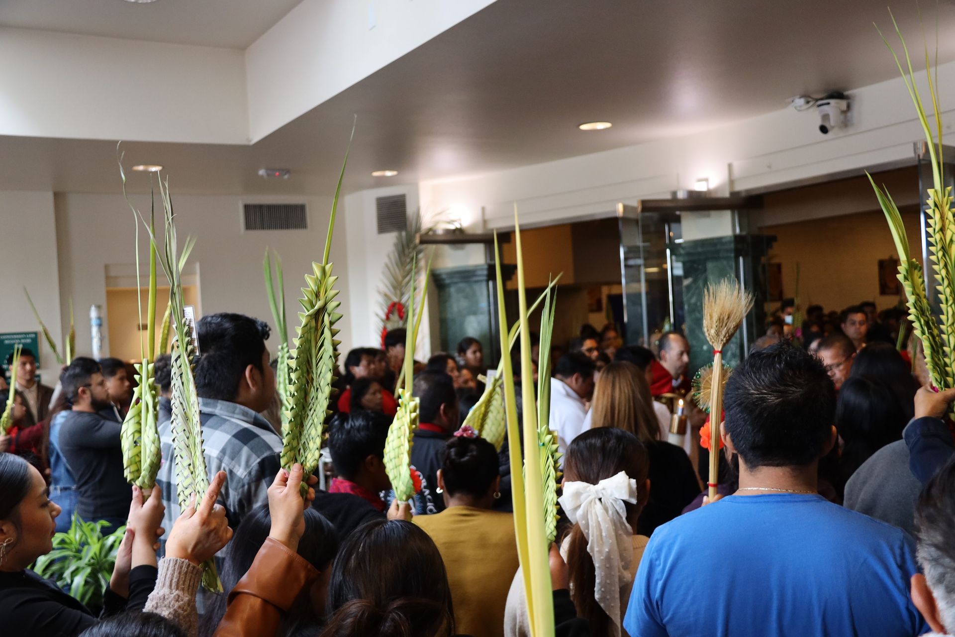 Crowded indoor gathering with people holding tall green leaves in a bright hall