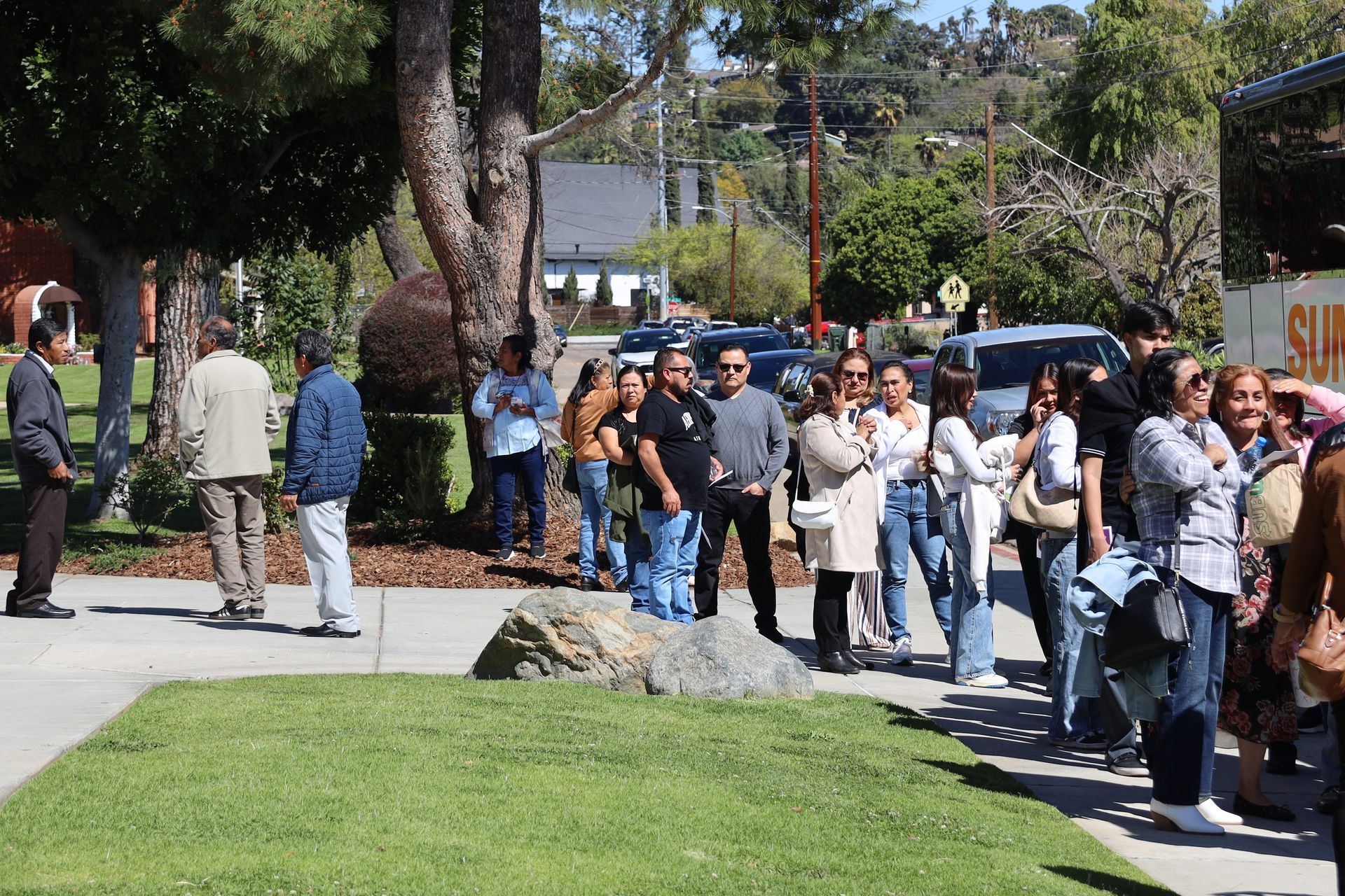 People lined up outdoors on a sunny sidewalk near trees and parked cars.
