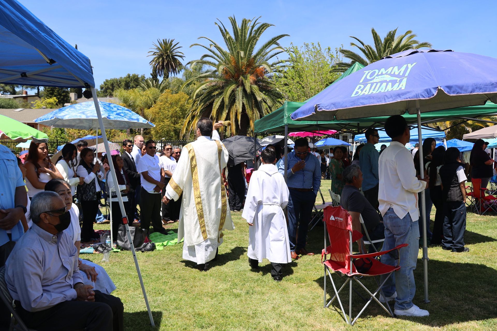 Outdoor gathering with people under blue and purple tents on a sunny grassy lawn, with palm trees in the background