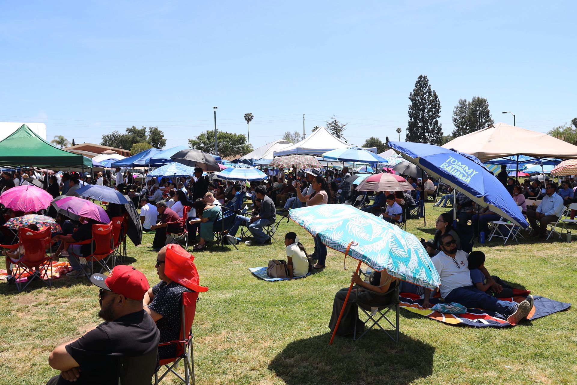 Crowd seated on grass under colorful umbrellas at an outdoor event on a sunny day