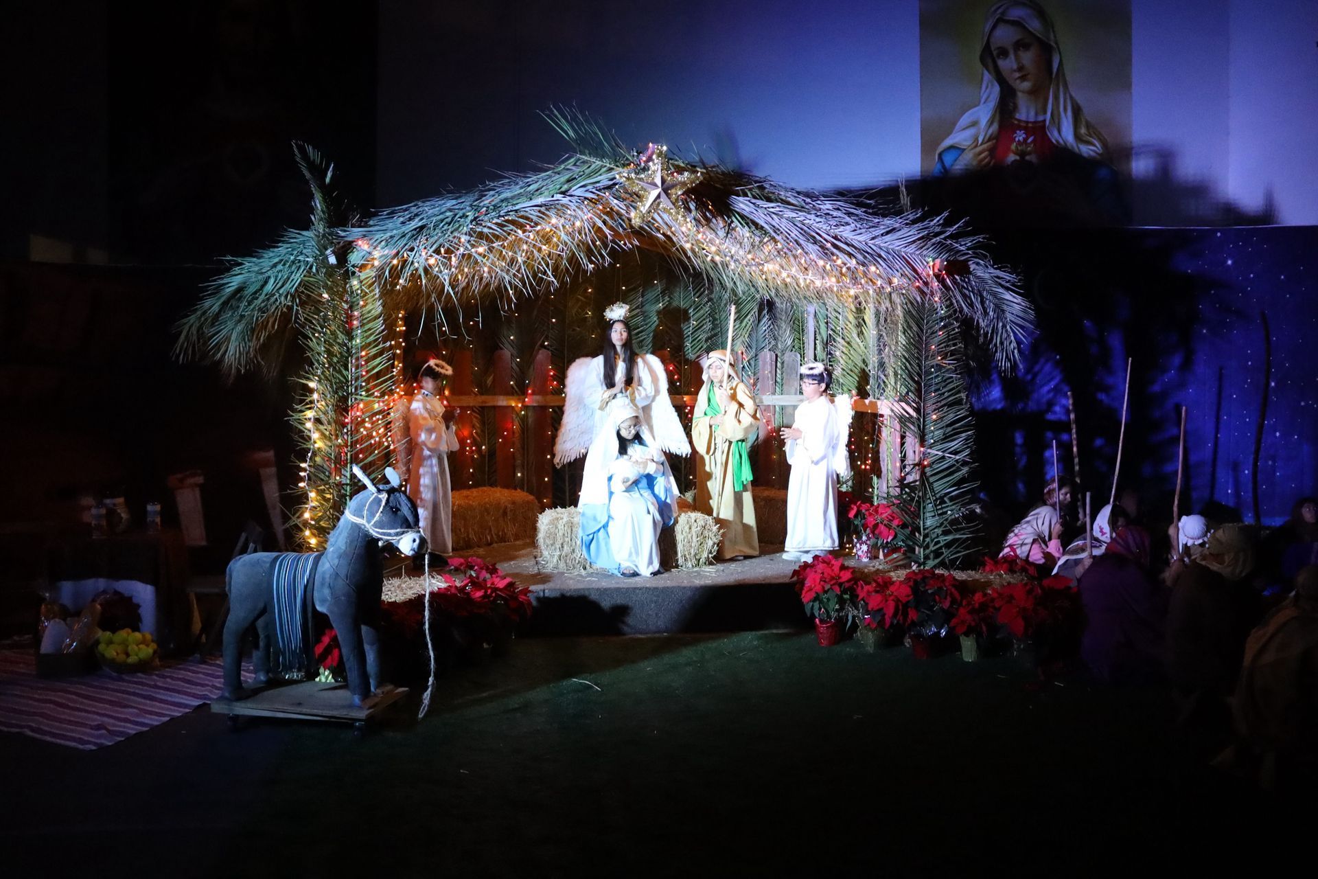 Illuminated outdoor nativity scene with people beside a straw-covered stable and red poinsettias at night