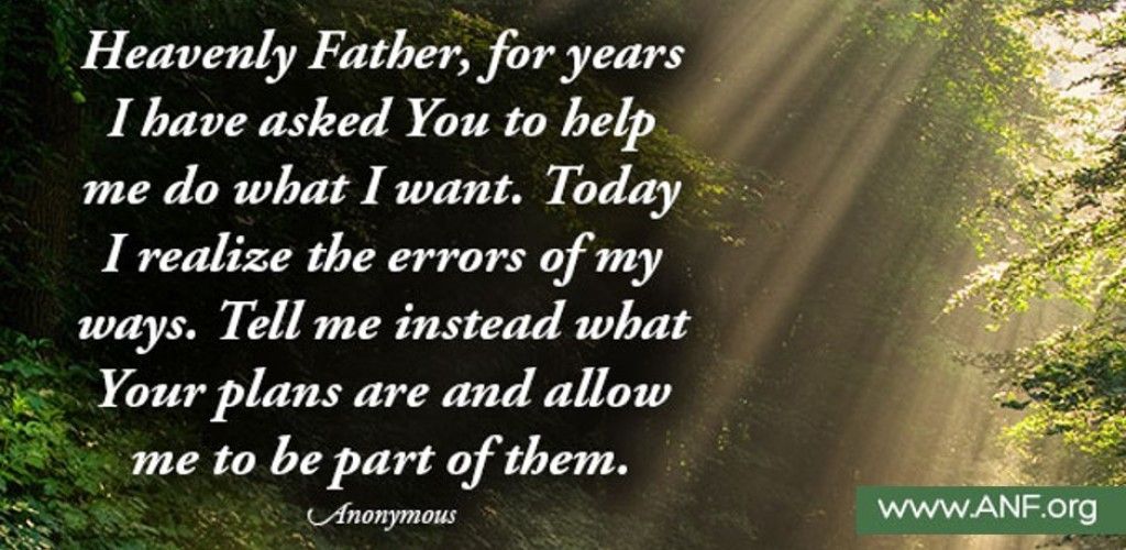 White devotional quote over a sunlit forest background with a small ANF.org logo.