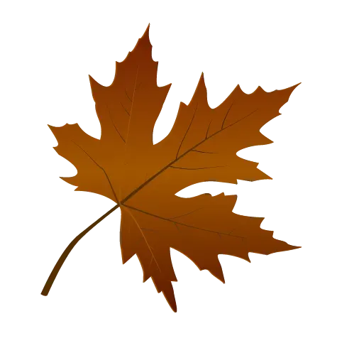 Brown maple leaf Brown maple leaf
