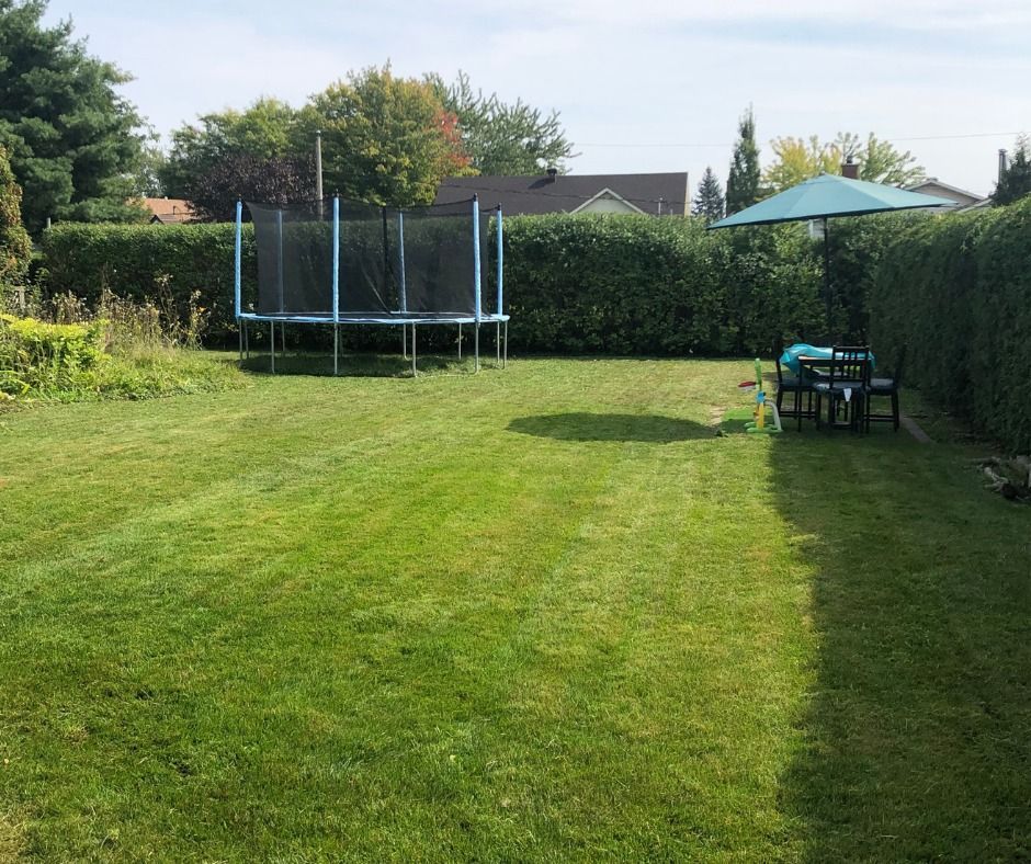 Pelouse dans le jardin avec trampoline, haies et petite table sous un parasol vert