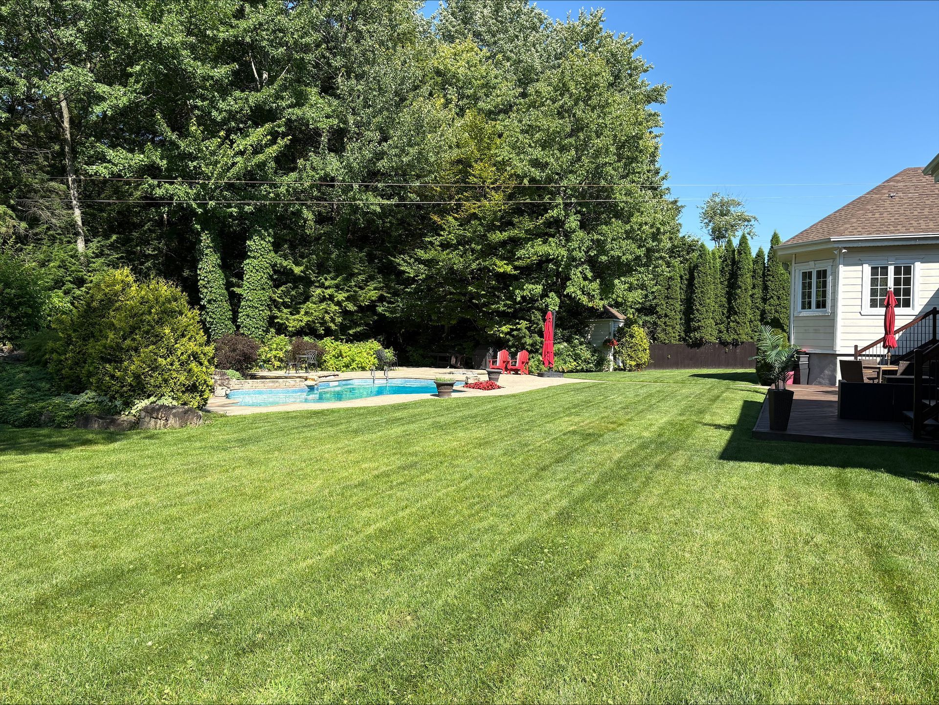 Pelouse arrière avec piscine, parasol rouge, arbres et terrasse.