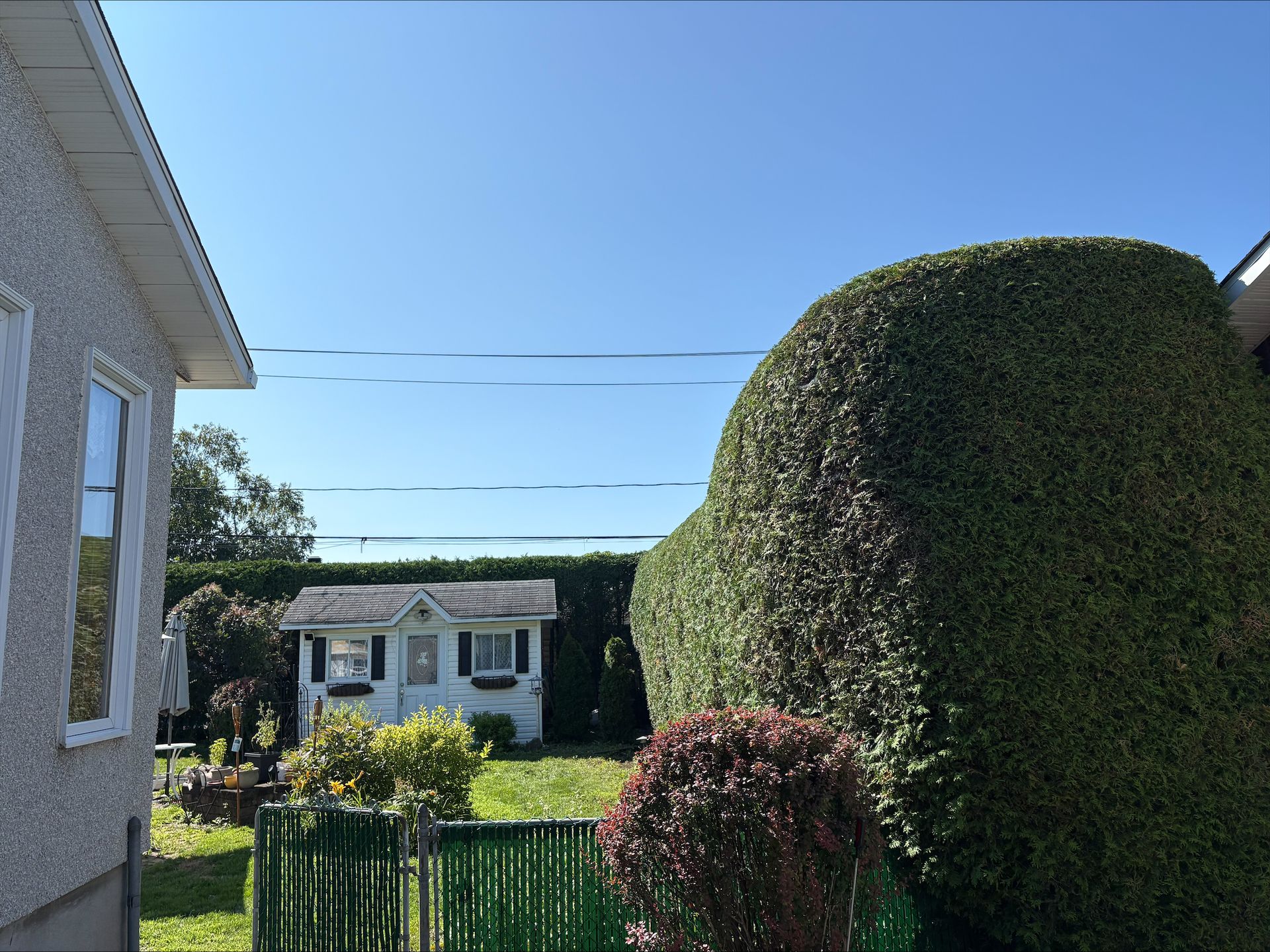 Cour arrière de banlieue avec haies, pelouse et une maison sous un ciel bleu clair