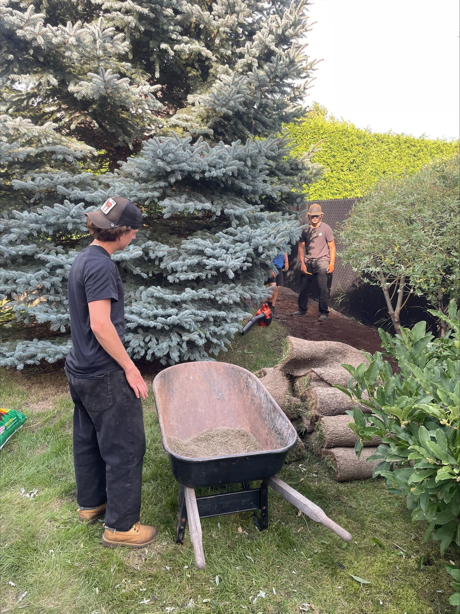Deux personnes aménagent un jardin à côté d'une brouette et d'arbustes à feuilles persistantes.