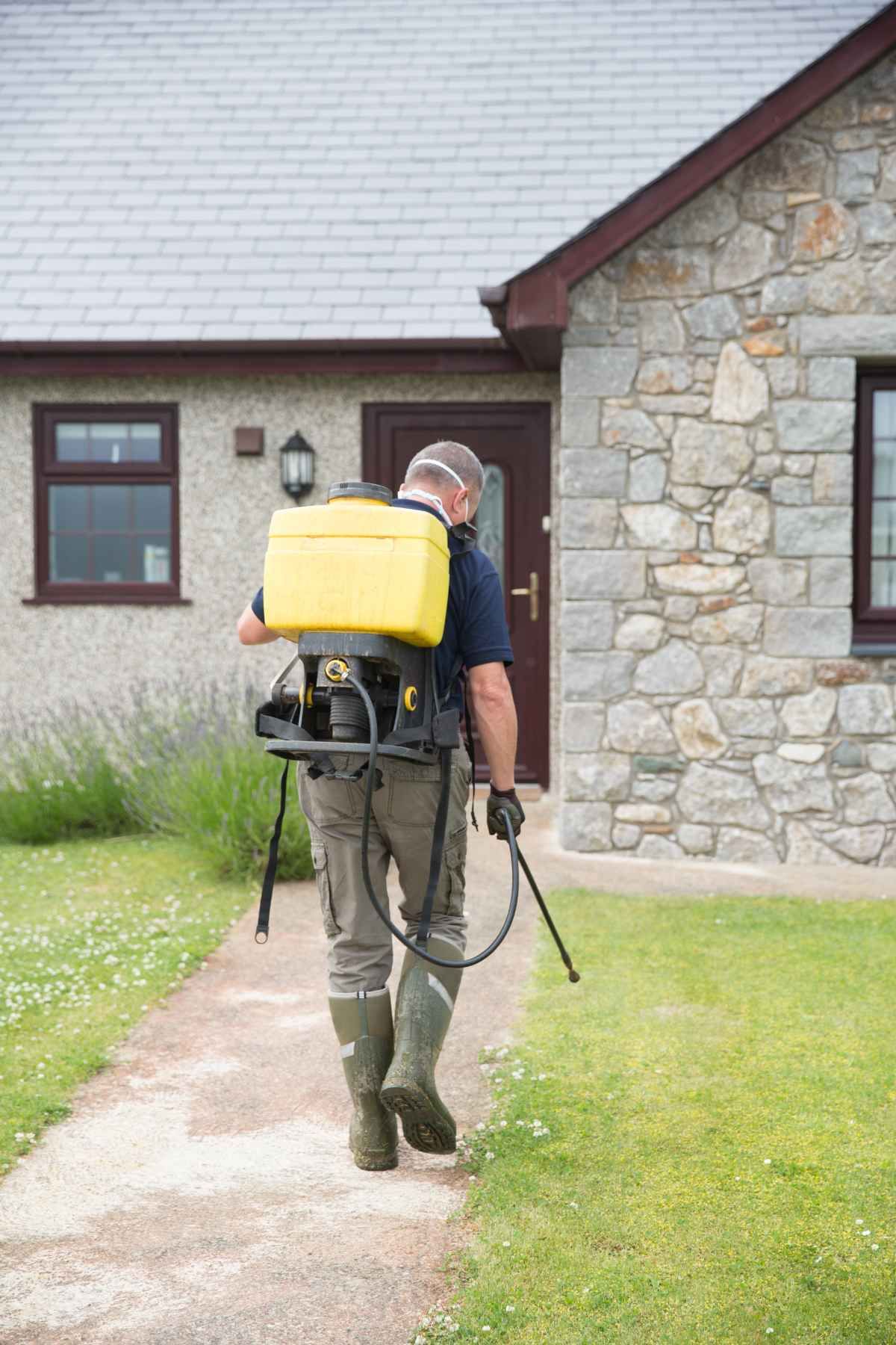 lawn garden maintenance