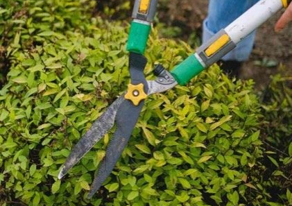 lawn installation coquitlam BC