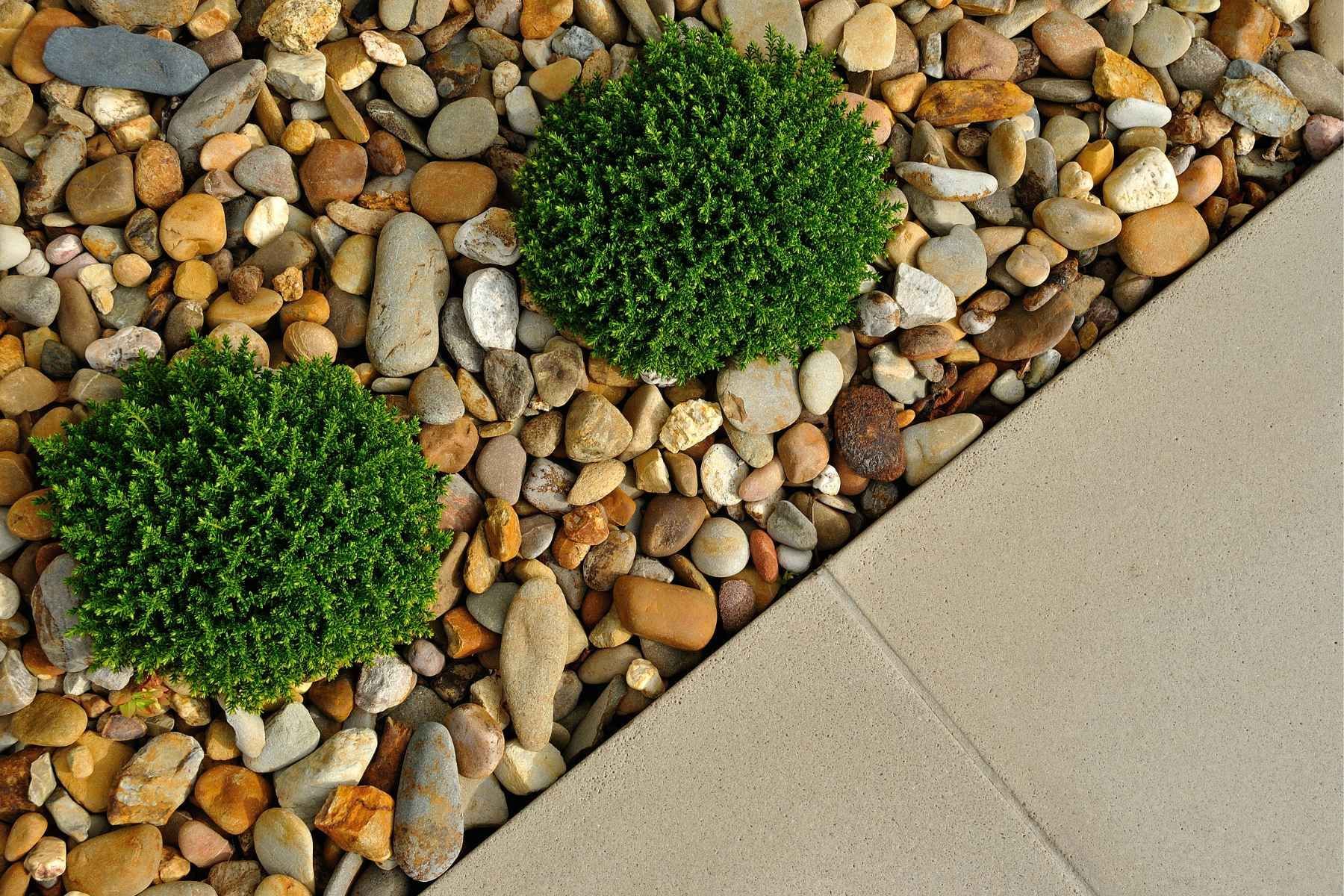 professional landscaping