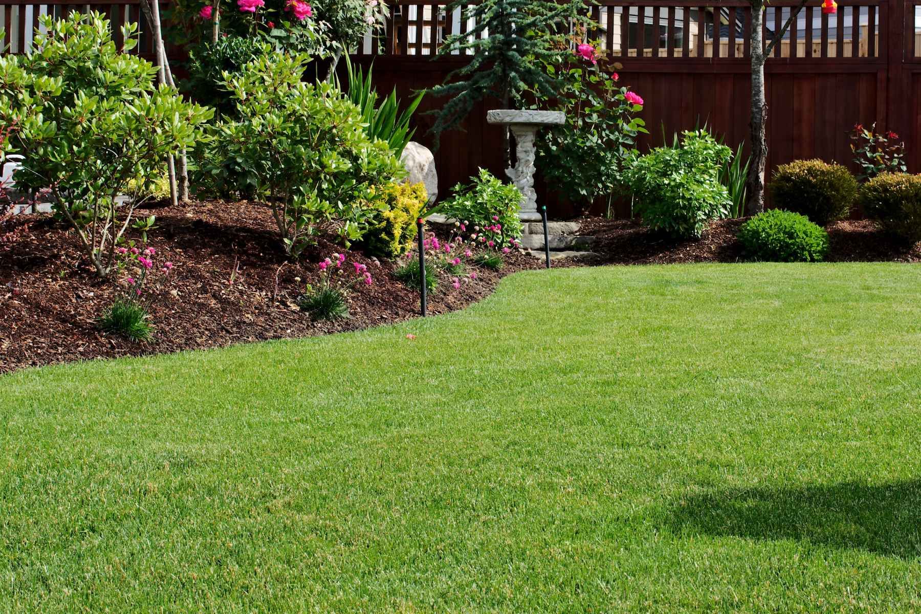 turf installation