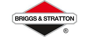 Briggs & Stratton