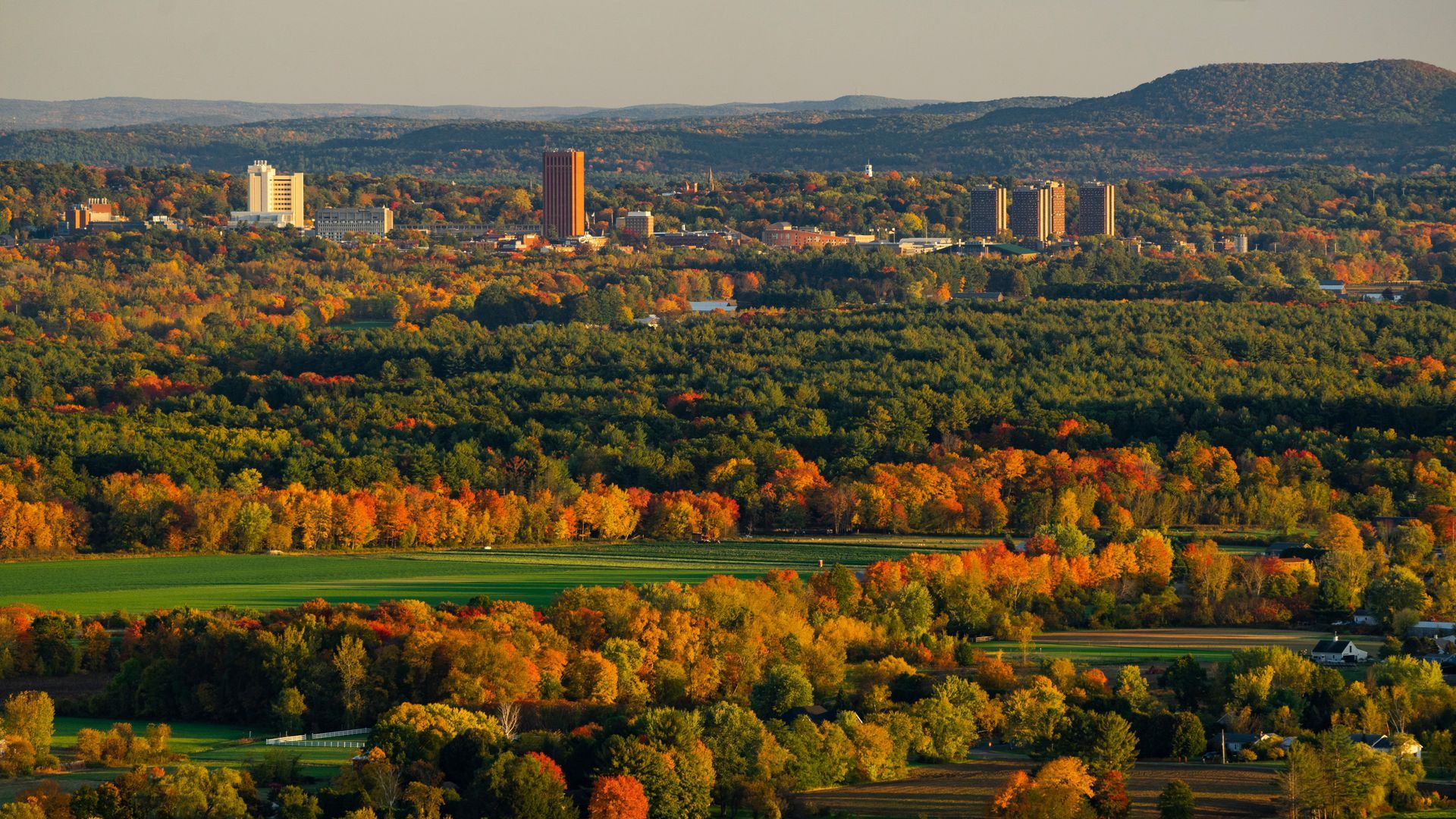 Autumnal aerial view of a city skyline with buildings and fall foliage.