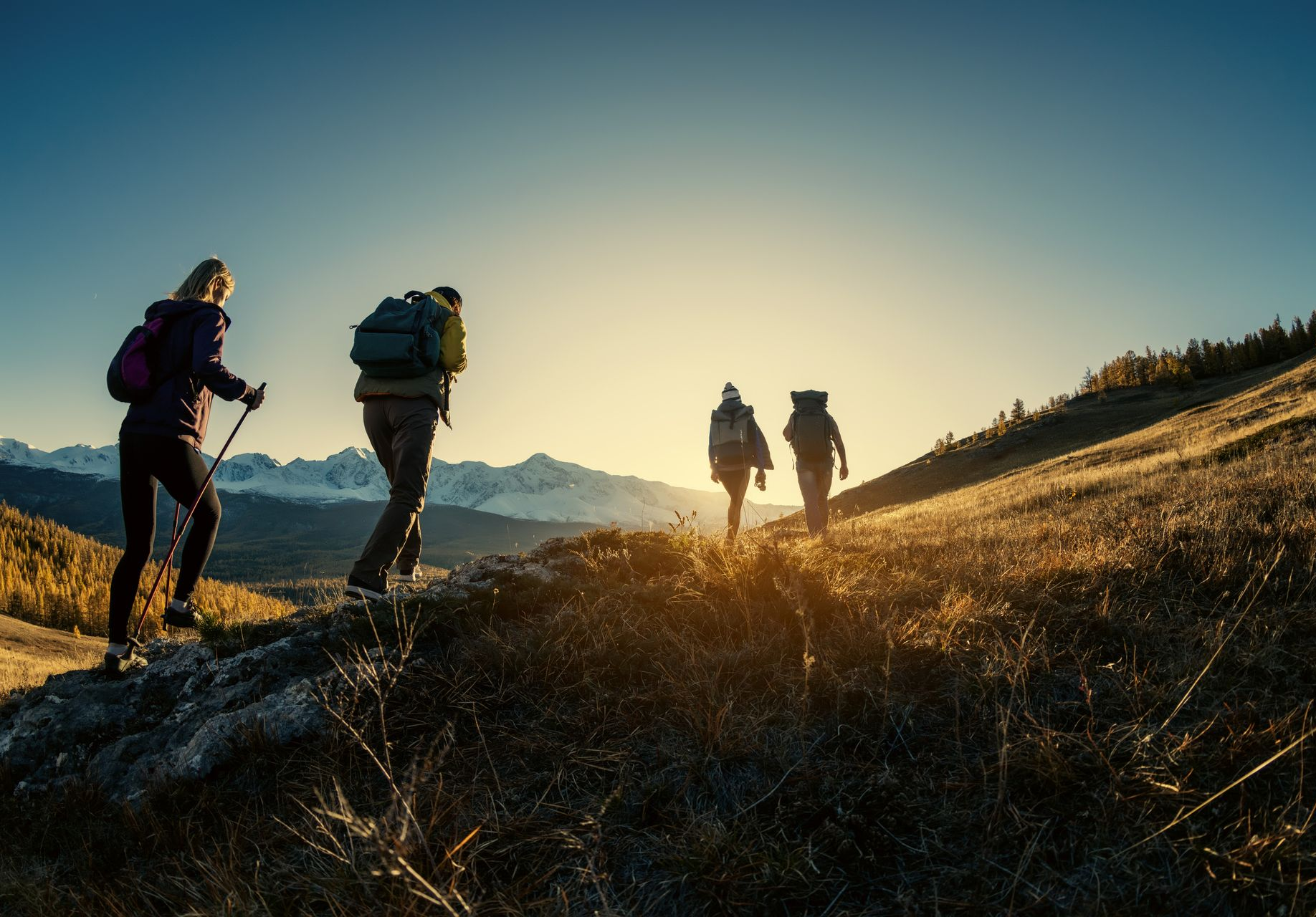 Four hikers trek across a golden, sunlit mountainside toward a range of snow-capped peaks at sunset.