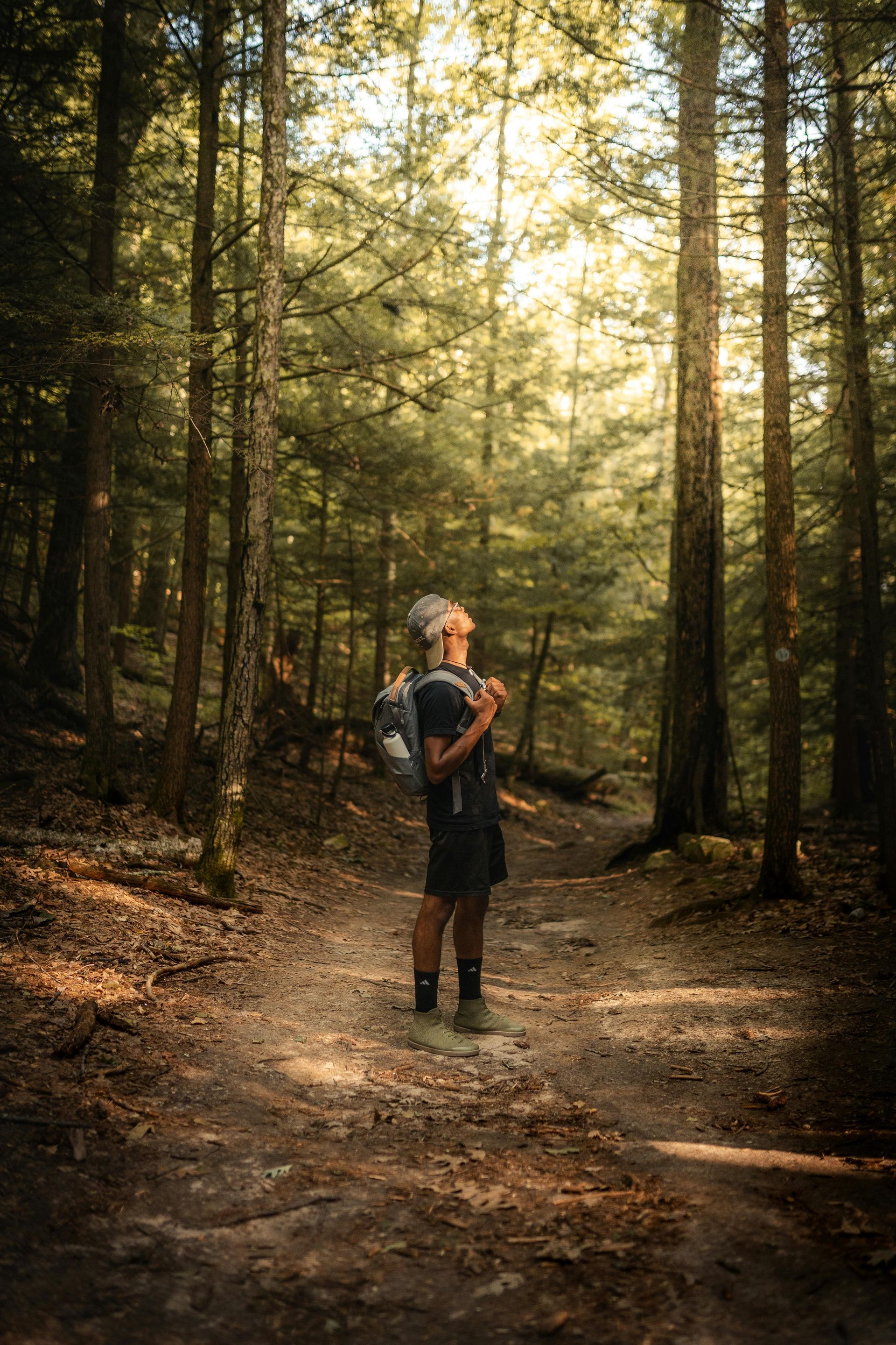 A man with a backpack is standing in the middle of a forest.
