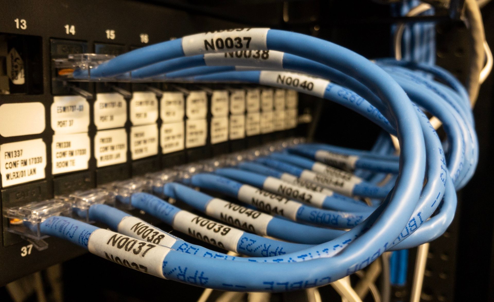 A bunch of blue wires with labels that say n0037