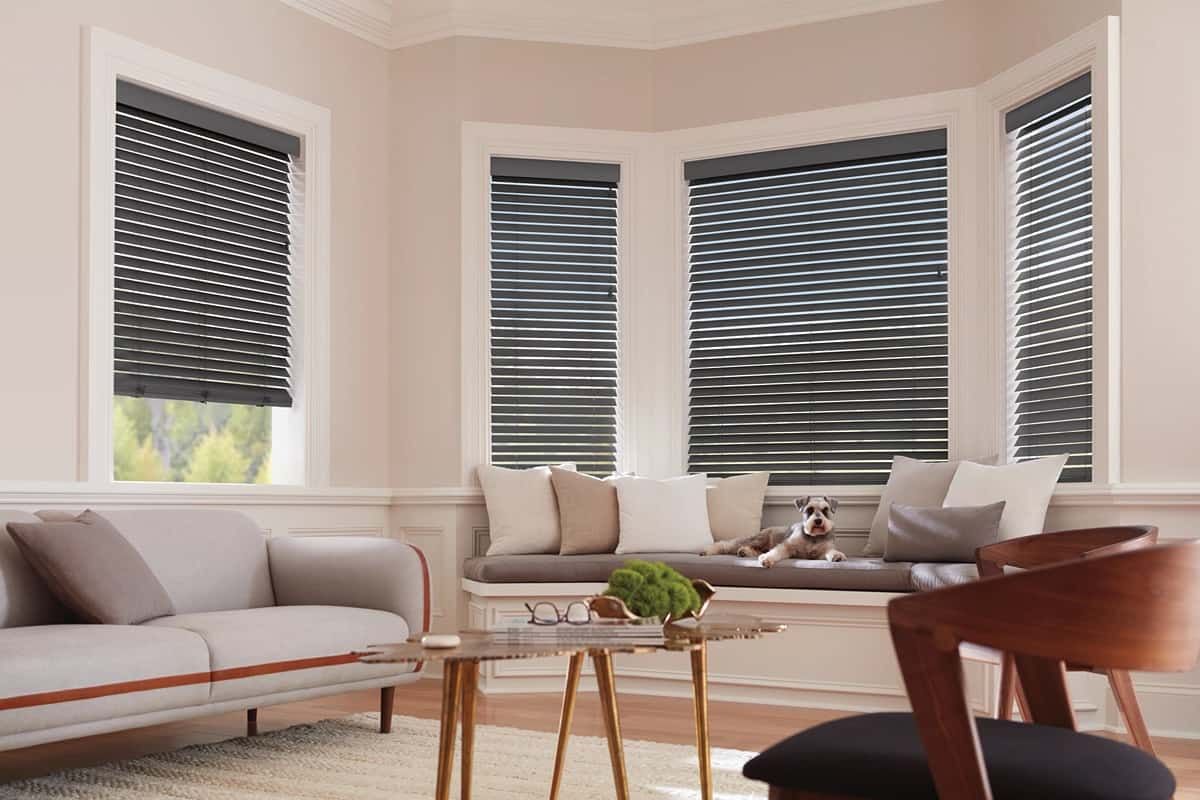 Stylish Hunter Douglas eco-friendly window treatments designed to reduce allergens and enhance interiors near Kent, WA