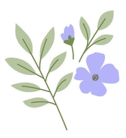 Ilustration Blumen