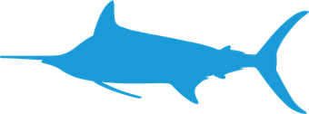 A white background with a few lines on it