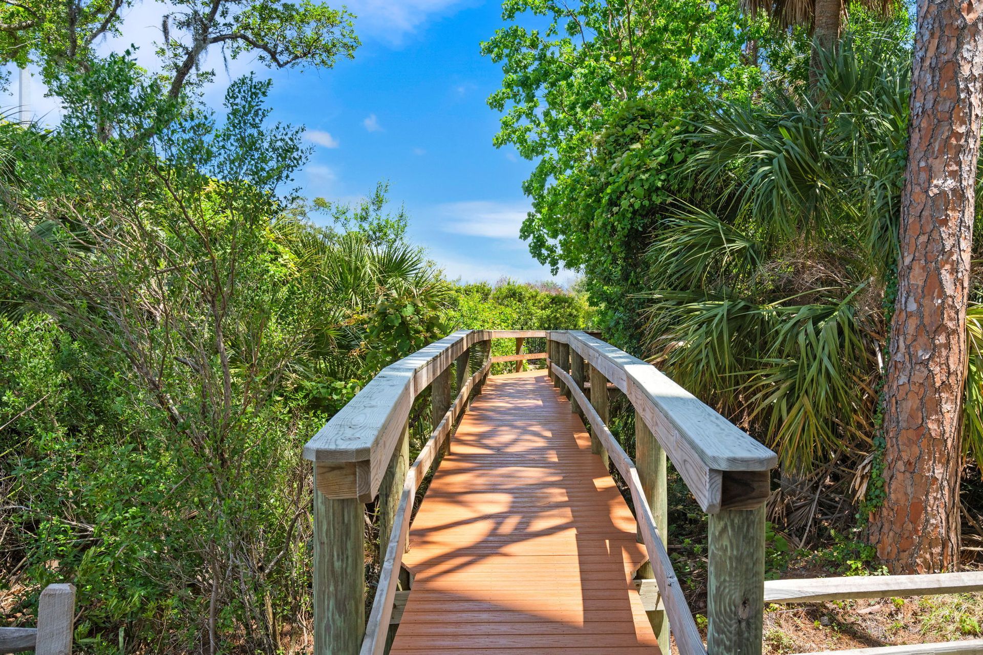 Wooden boardwalk through lush green forest under a blue sky