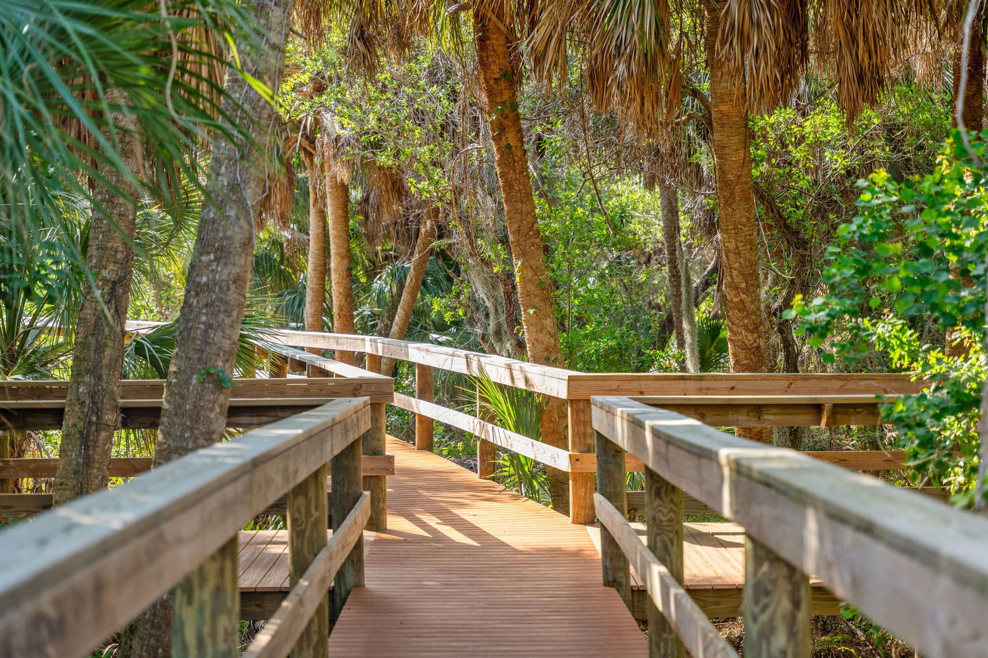 Wooden boardwalk through a lush green forest with railings and sunlit trees