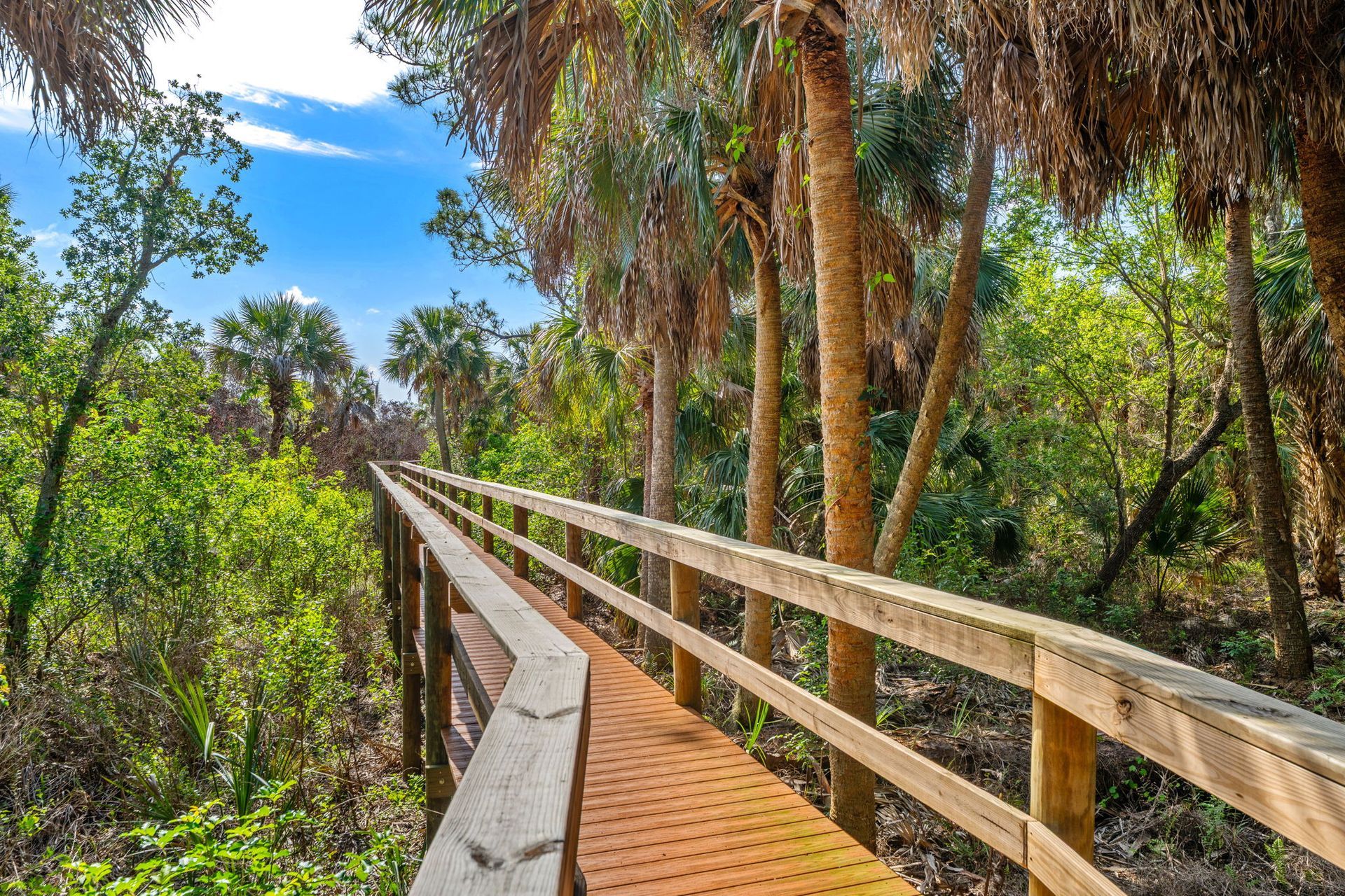 Wooden boardwalk through a lush green forest under a bright blue sky