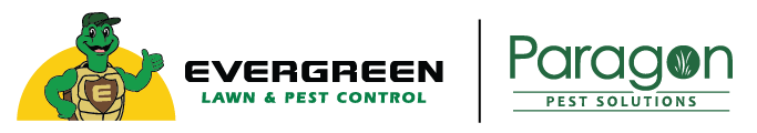 Paragon Pest Solutions