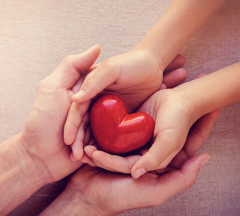 Hands holding heart model