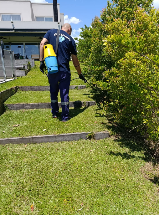 Un trabajador utiliza un pulverizador de mochila en una ladera aterrazada cubierta de hierba junto a un seto y un edificio.