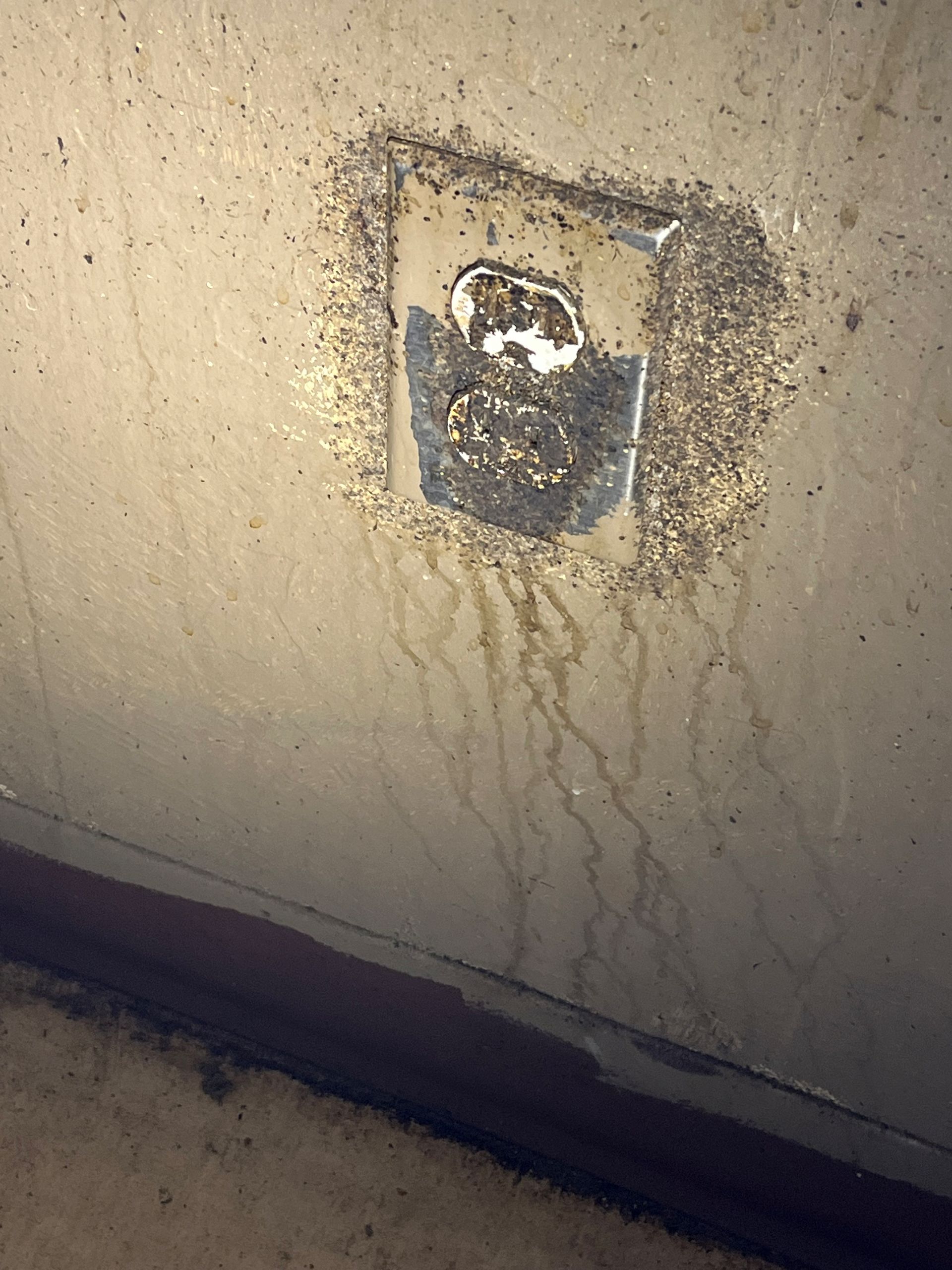 Bed Bug Removal Services in Shawnee, OK
